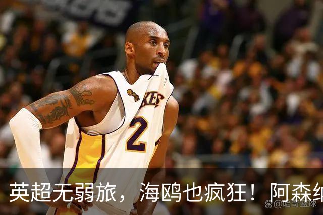 英超无弱旅，海鸥也疯狂！阿森纳3球惨败，拉亚成了远射背景板